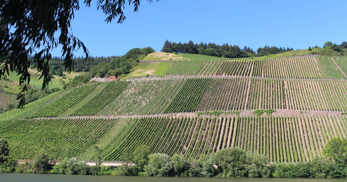 Moseltal Weintour ab Frankfurt Flughafen | FrankfurtRide