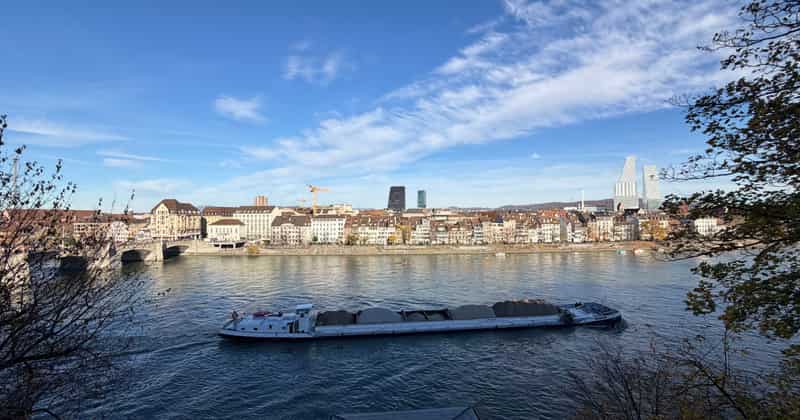 Airport transfer to Basel Rhine Cruise Port, Switzerland from Frankfurt Airport