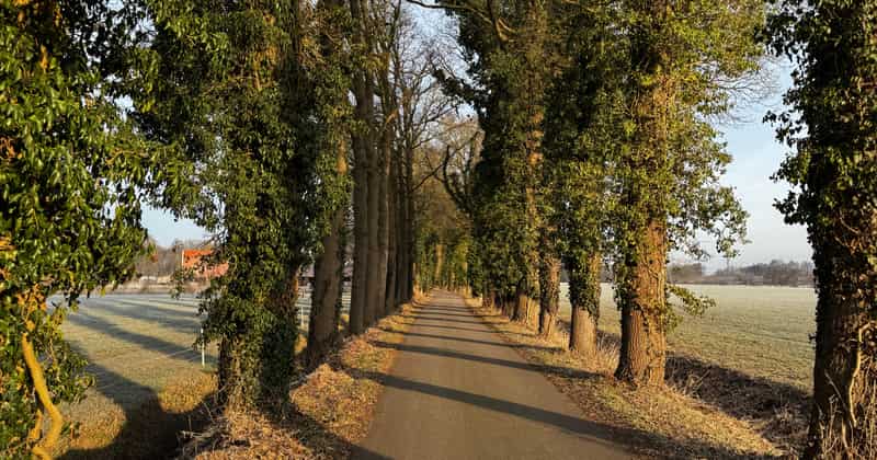 Flughafentransfer nach Enschede, Niederlande