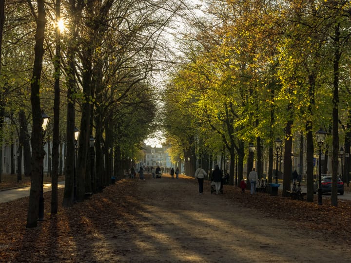 Flughafentransfer The Hague — häufige Fragen