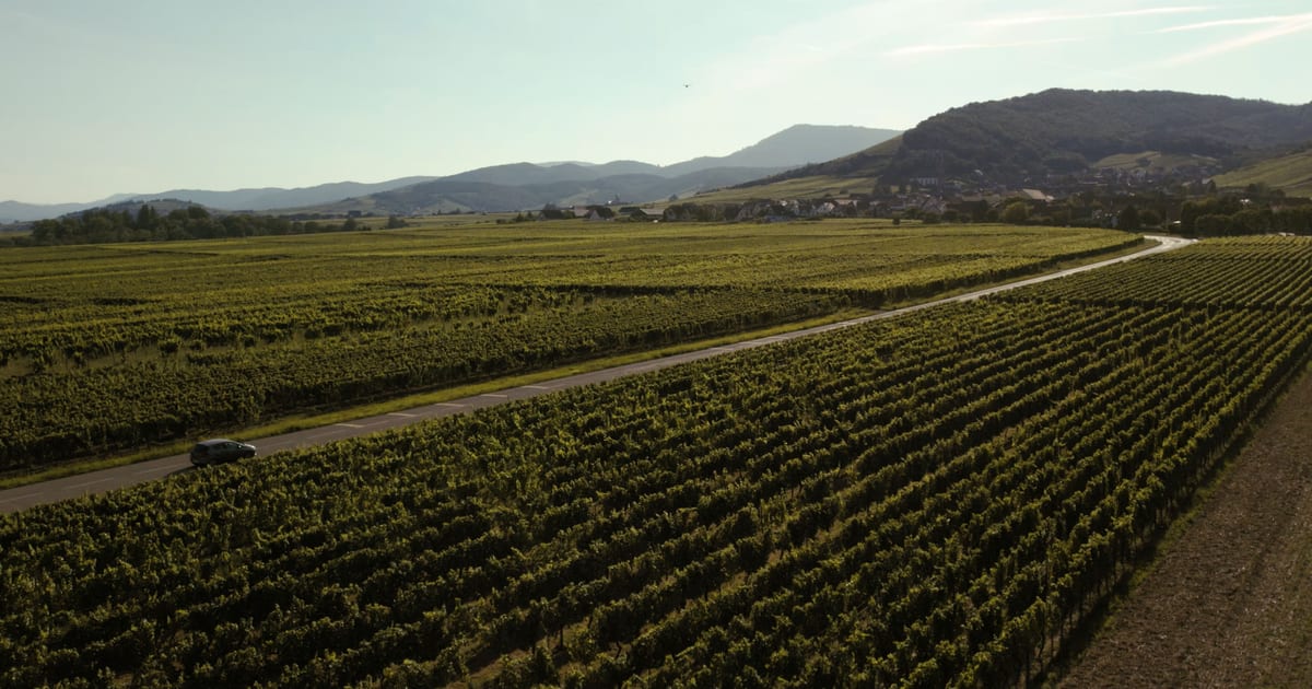 Flughafentransfer nach Alsace Wine Route, Frankreich