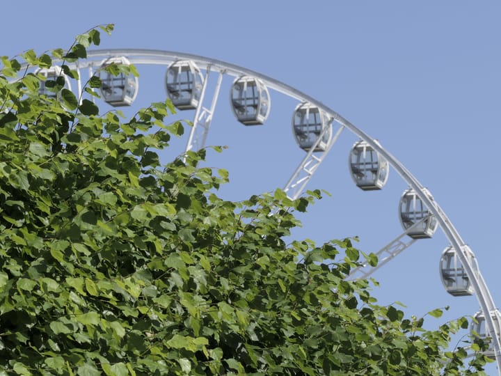 Airport transfer to Europa-Park, Germany from Frankfurt Airport