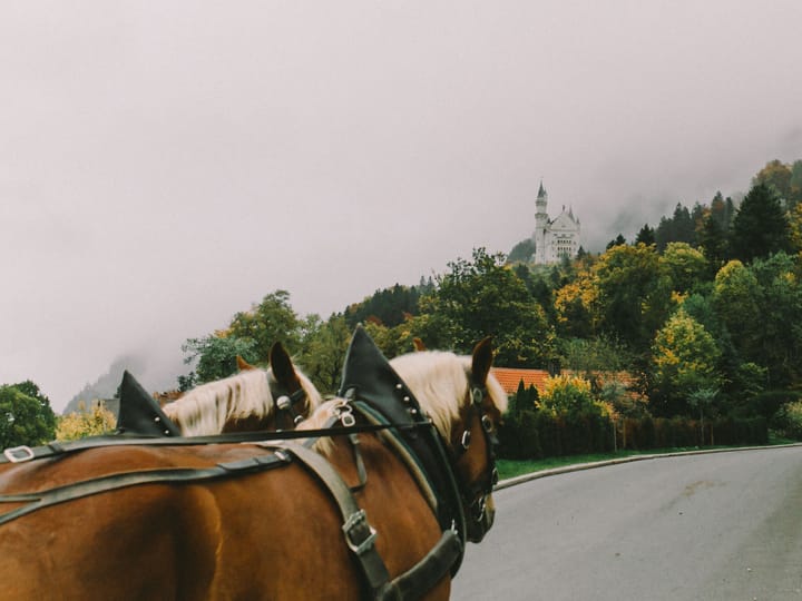Flughafentransfer Neuschwanstein Castle — häufige Fragen