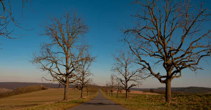 Airport transfer to Bad Mergentheim, Germany from Frankfurt Airport