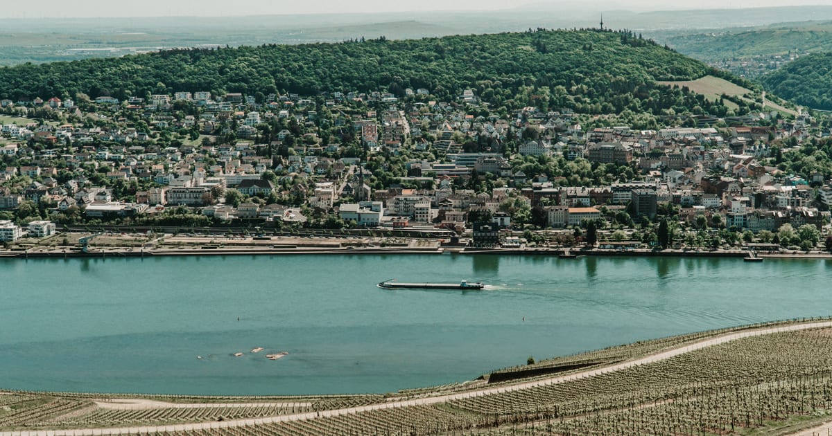 Flughafentransfer nach Bingen am Rhein, Deutschland