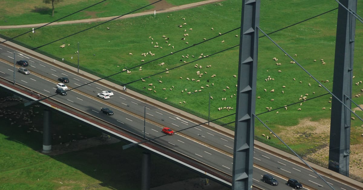 Flughafentransfer nach Düsseldorf, Deutschland