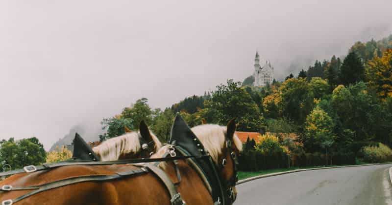 Flughafentransfer nach Neuschwanstein Castle, Deutschland