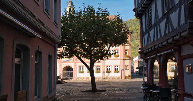 Airport transfer to Neustadt an der Weinstraße, Germany from Frankfurt Airport