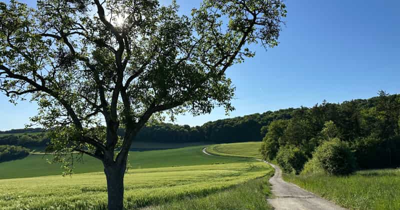 Flughafentransfer nach Saarland, Deutschland