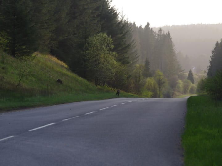 Flughafentransfer Triberg — häufige Fragen