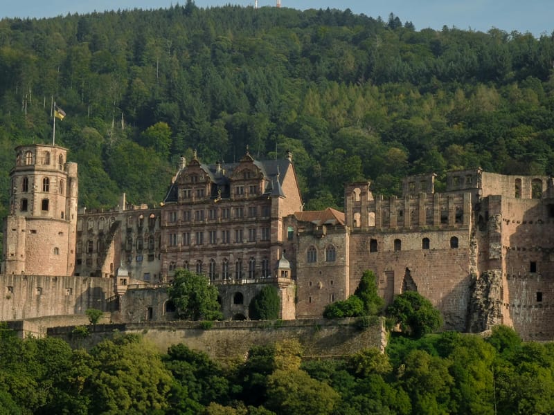 Privater Transfer Frankfurt Flughafen nach Heidelberg